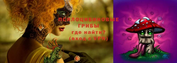 трава Беломорск